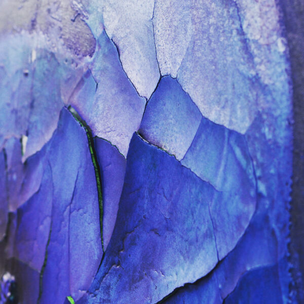 Details vom Bild Transzendenz_2