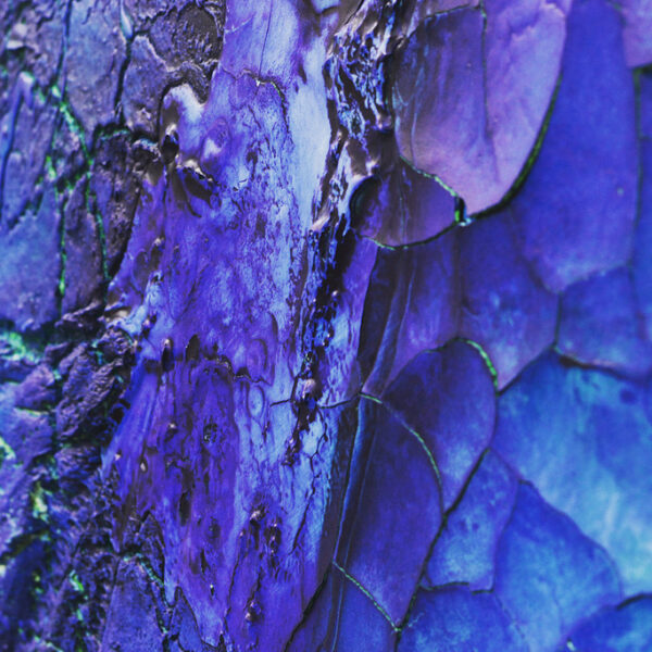 Details vom Bild Transzendenz_1